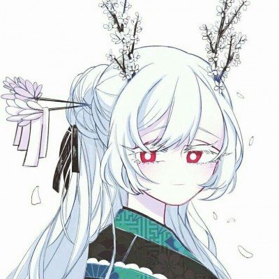 沈医生的投喂指南